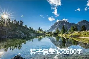 粽子情思作文600字(精选5篇)