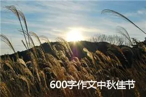 600字作文中秋佳节(精选5篇)