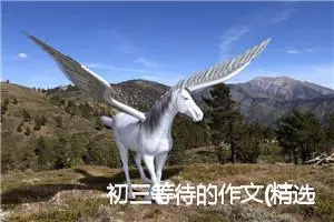 初三等待的作文(精选5篇)