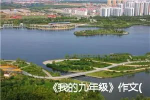 《我的九年级》作文(精选5篇)