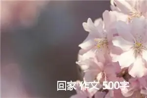 回家 作文 500字