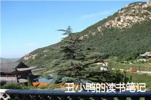 丑小鸭的读书笔记