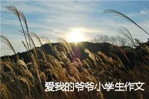 爱我的爷爷小学生作文(精选5篇)