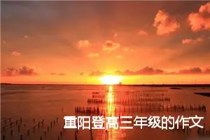 重阳登高三年级的作文(精选5篇)