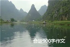 命运900字作文