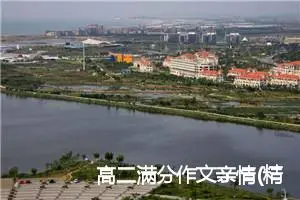 高二满分作文亲情(精选7篇)