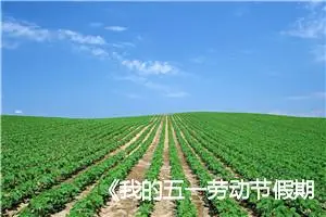 《我的五一劳动节假期》高一作文(精选5篇)