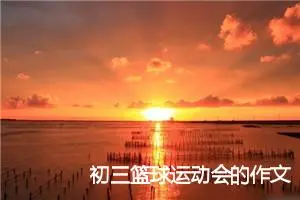 初三篮球运动会的作文(精选5篇)