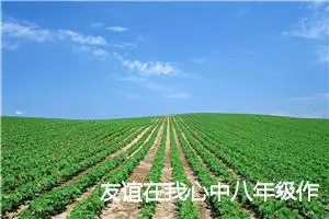 友谊在我心中八年级作文(精选5篇)