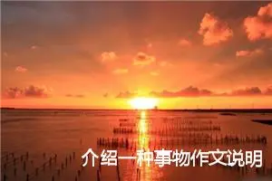 介绍一种事物作文说明文(精选8篇)