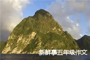 新鲜事五年级作文