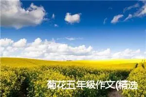 菊花五年级作文(精选5篇)