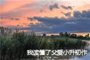 我读懂了父爱小升初作文(精选5篇)