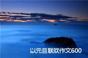 以元旦联欢作文600字(精选5篇)