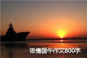 浓情端午作文800字(精选5篇)
