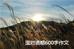 面对诱惑600字作文(精选5篇)