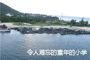 令人难忘的童年的小学生作文(精选5篇)