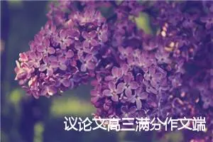 议论文高三满分作文端午节(精选5篇)