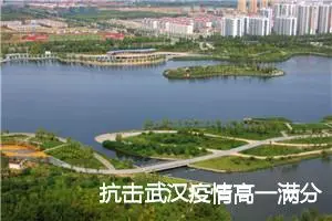 抗击武汉疫情高一满分作文800字(精选2篇)