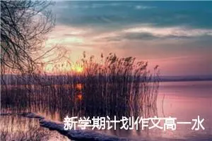 新学期计划作文高一水平(精选5篇)