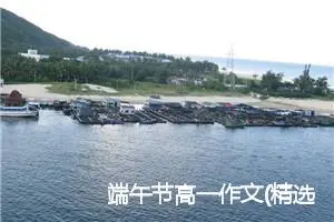 端午节高一作文(精选5篇)