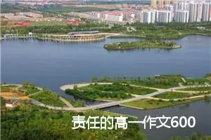 责任的高一作文600字议论文(精选5篇)