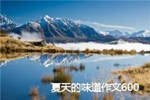 夏天的味道作文600字(精选5篇)