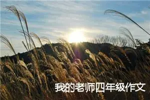 我的老师四年级作文