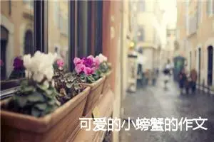 可爱的小螃蟹的作文