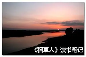 《稻草人》读书笔记