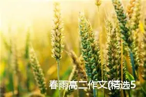 春雨高二作文(精选5篇)