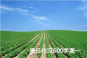 责任作文600字高一(精选5篇)