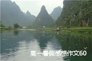 高一暑假感想作文600字左右(精选5篇)