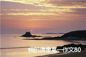 我的偶像高一作文800字(精选9篇)