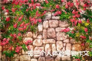 初三个人体验写物作文(精选6篇)