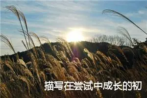 描写在尝试中成长的初中作文(精选5篇)