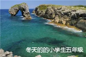 冬天的的小学生五年级作文600字(精选5篇)