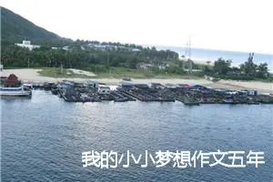 我的小小梦想作文五年级(精选5篇)