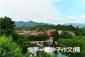 埋下一颗种子作文(精选5篇)