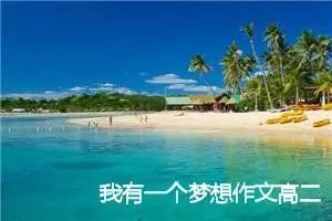 我有一个梦想作文高二(精选5篇)