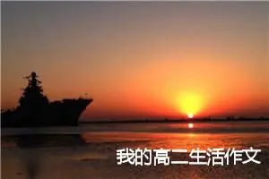 我的高二生活作文