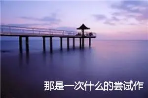 那是一次什么的尝试作文400字