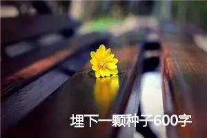 埋下一颗种子600字话题作文(精选5篇)