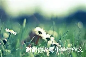 谢谢你老师小学生作文(精选5篇)