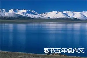 春节五年级作文