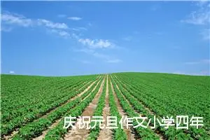 庆祝元旦作文小学四年级(精选5篇)