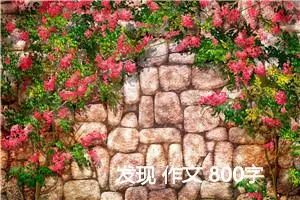 发现 作文 800字