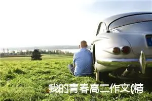 我的青春高二作文(精选5篇)