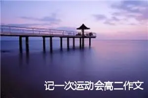 记一次运动会高二作文(精选5篇)