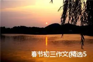 春节初三作文(精选5篇)